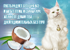 Открытка картинка с пожеланием радости
