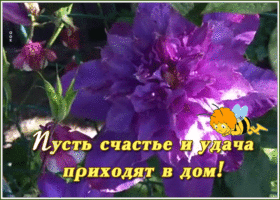 Картинка картинка с пожеланием счастья