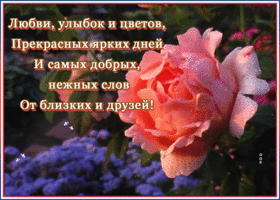 Картинка картинка с пожеланиями со стихами