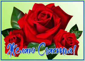 Картинка картинка с розами