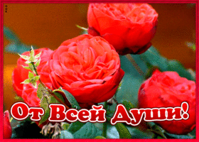 Открытка картинка с розами от души