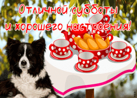 Картинка картинка с субботой с пожеланиями