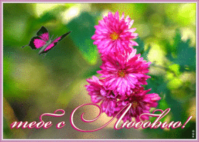 Картинка картинка с цветами тебе с любовью