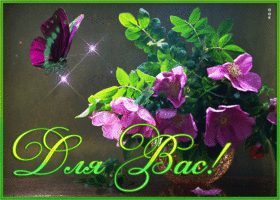 Postcard картинка с великолепными цветами для вас