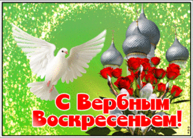 Открытка картинка с вербным воскресеньем с голубем