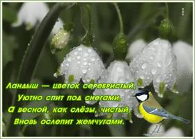 Картинка картинка с весной со стихами