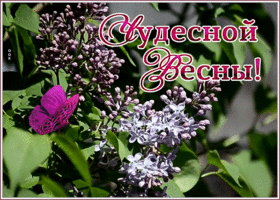 Картинка картинка счастливой весны
