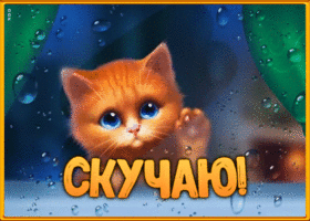 Картинка картинка скучаю с котиком