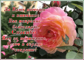 Картинка картинка со словом благодарю