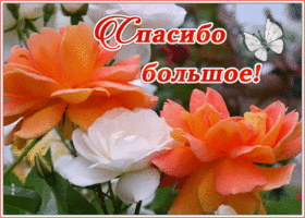 Открытка картинка спасибо большое