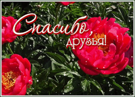 Картинка картинка спасибо друзьям