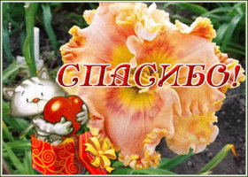 Открытка картинка спасибо огромное