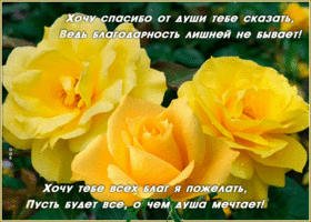 Открытка картинка спасибо с розами