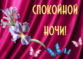 Picture картинка спокойной ночи с цветком ириса