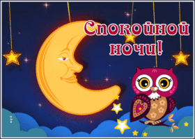 Picture картинка спокойной ночи с милой совой