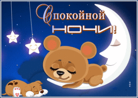 Postcard картинка спокойной ночи с мишкой и щенком