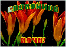 Открытка картинка спокойной ночи пусть спится сладко