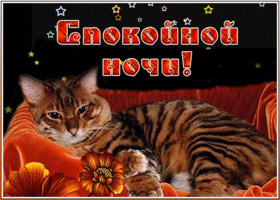 Картинка картинка спокойной ночи с котиком