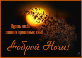 Открытка картинка спокойной ночи с красивыми словами