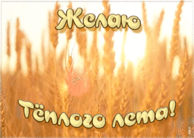 Открытка картинка теплого лета