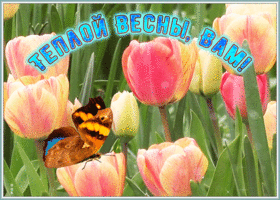 Открытка картинка теплой весны