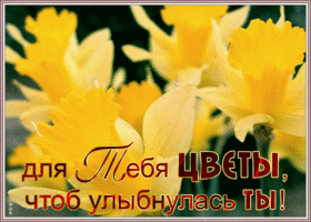 Открытка картинка цветы, чтоб улыбнулась ты