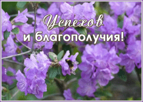 Открытка картинка успехов и благополучия