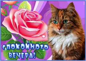 Открытка картинка уютного вечера