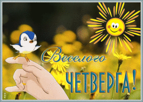 Картинка картинка веселого четверга