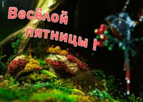 Открытка картинка веселой пятницы