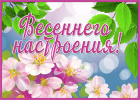 Картинка картинка весеннего настроения с розовыми цветами