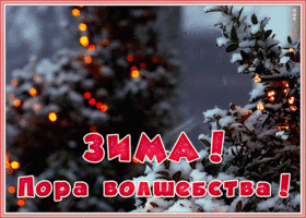 Картинка картинка волшебница зима