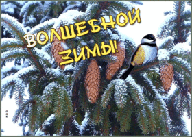 Картинка картинка волшебной зимы
