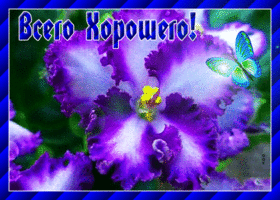 Открытка картинка всего хорошего