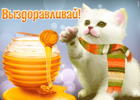 Картинка картинка выздоравливай с котиком