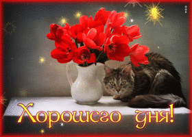 Picture картинка хорошего дня с букетом цветов и кошечкой
