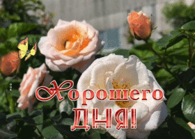 Picture картинка хорошего дня с кремовыми розами