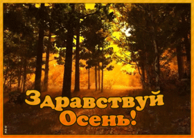Открытка картинка здравствуй осень