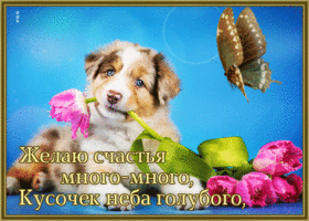 Picture картинка желаю счастья и голубого неба