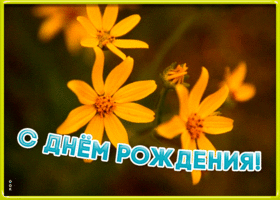 Картинка хорошая картинка днем рождения подруге