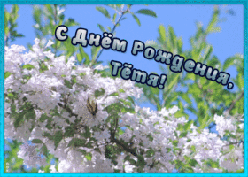 Картинка хорошая картинка днем рождения тете