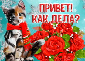 Открытка хорошая картинка привет