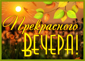 Открытка хорошая открытка  прекрасного вечера и листопад