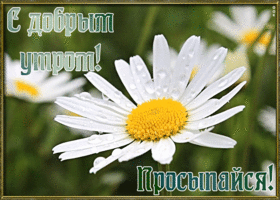 Открытка хорошая открытка с добрым утром