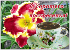 Открытка хорошая открытка с воскресеньем