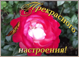 Открытка хорошего настроения сегодня завтра и всегда