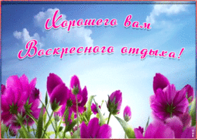 Открытка хорошего воскресного отдыха