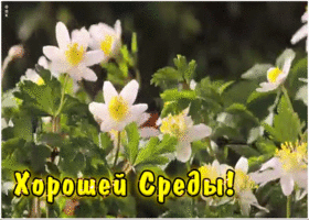 Картинка хорошей среды