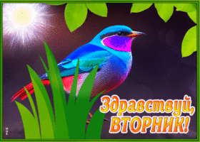 Postcard классная картинка здравствуй, вторник