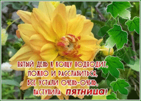 Postcard классная открытка наступила пятница